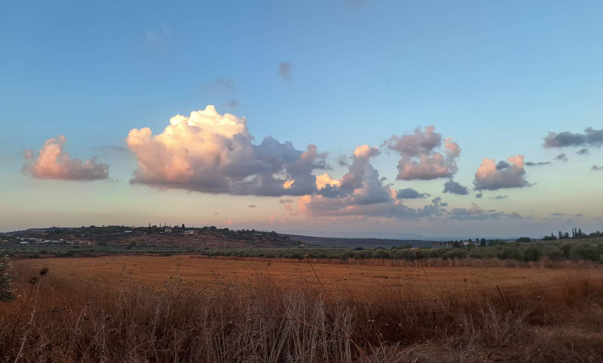 עננים מוארים באור ורוד של ערב מעל שדה פתוח